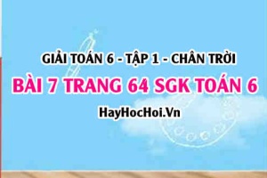 Giải bài 7 trang 64 Toán 6 Tập 1 SGK Chân trời sáng tạo